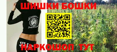 прущие крисы Будённовск