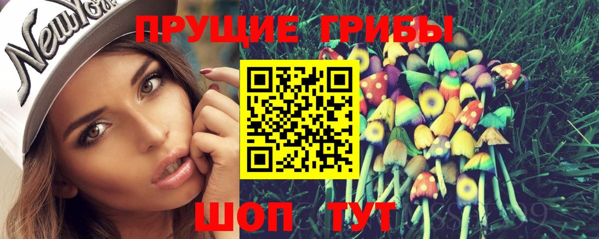 Галлюциногенные грибы GOLDEN TEACHER  Вход с VPN  Мурино  Галлюциногенные грибы прущие грибы 